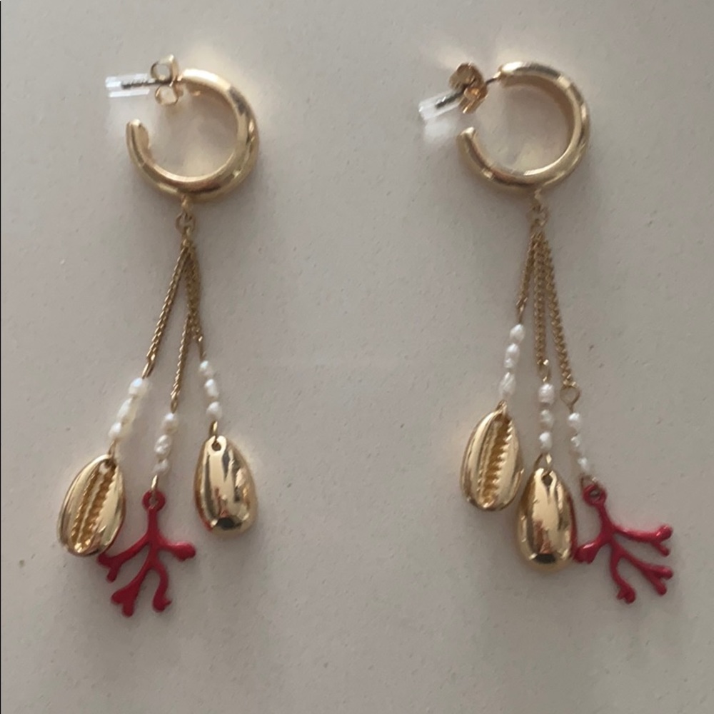 Shell Earrings - Picture 1 of 3